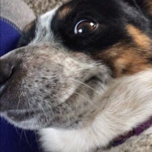 Meet your Posher, Charly